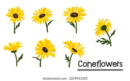Yellow coneflower background.Eps 10 vector.