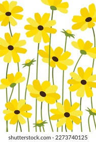 Yellow coneflower background.Eps 10 vector.