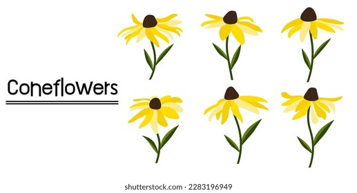 Yellow coneflower background.Eps 10 vector.