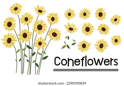 Yellow coneflower background.Eps 10 vector.