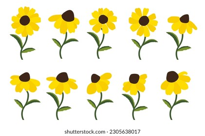 Yellow coneflower background.Eps 10 vector.