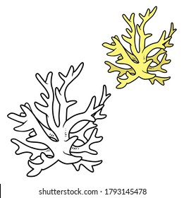 Yellow coral coloring book linear drawing isolated on white background