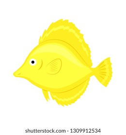 Yellow coral fish vector illustration isolated on white background.