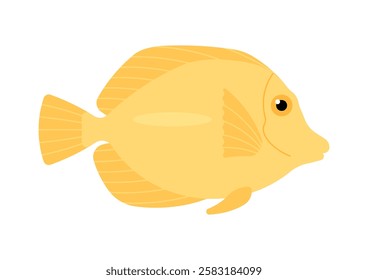 Yellow coral reef fish. Yellow tang, side view, ocean fish. Biological name - Zebrasoma flavescens. Simplicity vector illustration, isolated on white background.