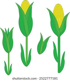 Yellow Corn Cartoon  flat vector  Illustration 