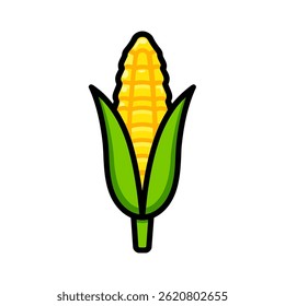 Yellow corn cob grows isolated agriculture