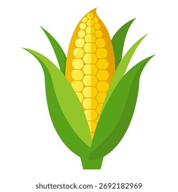 Yellow corn cob. Isolated vector illustration on white background