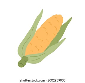 Yellow corn cob with leaves. Sweet maize in husk. Ripe corncob with leaf. Fresh cereal vegetable. Raw veggie. Colored flat vector illustration of sweetcorn isolated on white background