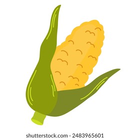 Yellow corn cob with leaves. Sweet maize in husk. Ripe corncob with leaf. Fresh cereal vegetable. Raw veggie. Colored flat vector illustration of sweetcorn isolated on white background