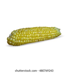 Yellow corn cob vector icon