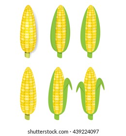 Yellow corn in flat and realistic style, vector