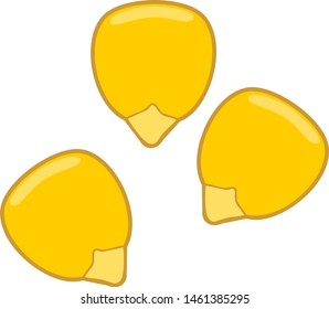 Yellow corn grains isolated on white background