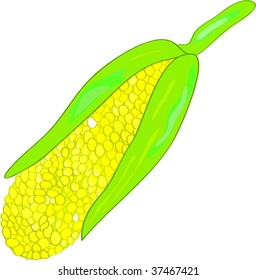 Yellow corn with green peel