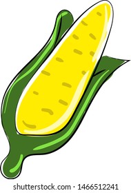 Maíz amarillo, ilustración, vector sobre fondo blanco.