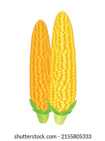 maíz amarillo aislado en fondo blanco	
