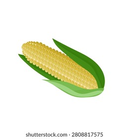 Yellow corn on the cob kernels