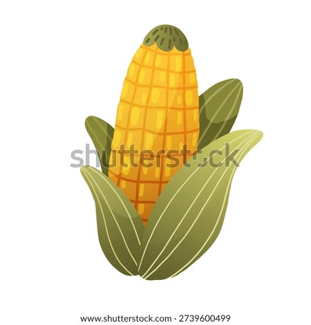 Yellow corn on the cob with partially opened green husks. A symbol of summer harvest and agricultural abundance.