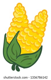 Yellow corn on green branch with green leafs vector illustration on white background.