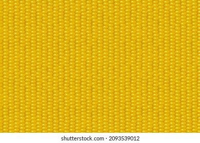 Yellow corn pattern seamless. Vector eco food background. Maize gold seed wallpaper