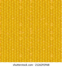 Yellow corn pattern seamless. Vector eco food background. Maize gold seed wallpaper