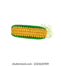 Yellow corn. Vector illustration in cartoon style.  
