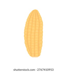 Yellow corn without green parts on a white background. A cooking ingredient.