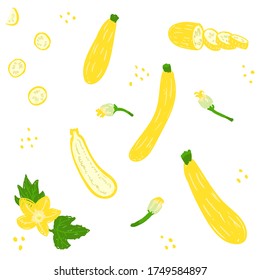 Yellow Courgette vector illustration set. Golden zucchini pattern, whole, half, sliced, cut zucchini, flowers