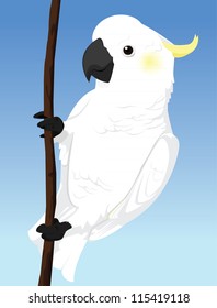 Yellow Crested Cockatoo