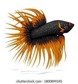 Yellow Crown Tail Betta Fish Vector isolated on blank background
