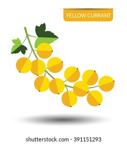 Yellow currant, fruit vector illustration