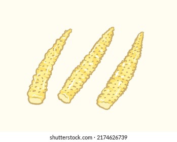 Yellow cute baby corns in flat vector illustration art design