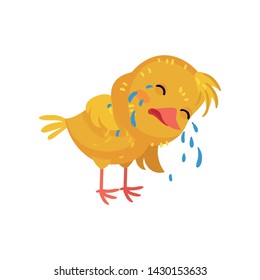 Yellow cute chicken sobbing. Vector illustration on white background.