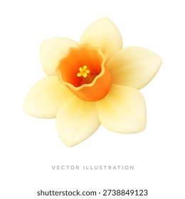 Yellow daffodil flower 3D realistic icon. Spring Easter vector illustration