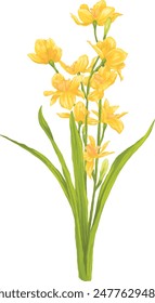 Yellow daffodil flower digital painting illustration