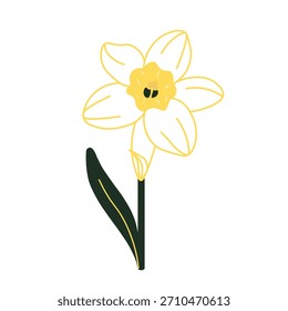 Ilustração do vetor minimalista da flor do narciso amarelo

