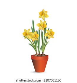 Yellow daffodil flowers in a plastic shipping pot for room decor. Vector illustration for interior design, flower shop advertising, other. 