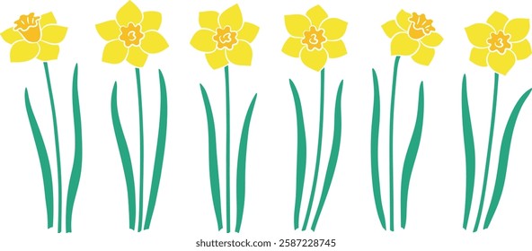 Yellow daffodil flowers with stems and leaves