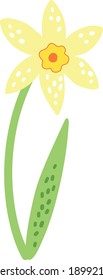 Yellow daffodil with green leaf. For posters, textiles, etc. Cartoon daffodil vector illustration. Narcissus flower or daffodil isolated on white background cutout. Flat