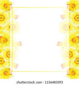 Yellow Daffodil - Narcissus Banner Card Border on White Background. Vector Illustration.