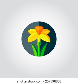 Yellow daffodil / narcissus icon. Spring flowers. Vector illustration