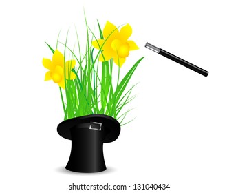 Yellow daffodils in black top hat