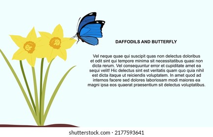 Yellow daffodils flowers with a blue butterfly in blue background. Template Summer banner and postcard. beautiful  flowers. Tropical butterfly with colorful wings. Pretty flying moth. Vector eps10