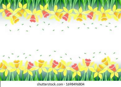 Yellow daffodils frame on white background. Hand drawn narcissus flowers. Early spring. Sketch vector illustration
