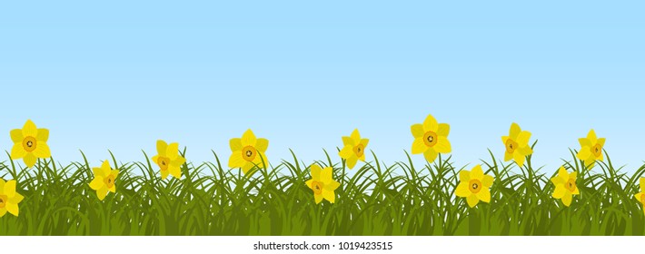 Yellow daffodils in green grass on a blue sky background. Border. Spring flowers. It can be used as a seamless sample. Vector illustration