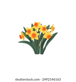 Yellow Daffodils with Orange Centers. Vector illustration design.