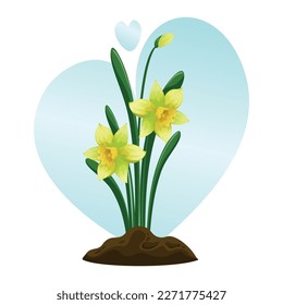 Yellow daffodils are spring primroses. Vector illustration on a spring theme, gardening theme, the eighth of March holiday