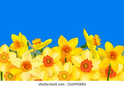 Ladrillos amarillos bajo un cielo azul. Colores amarillo y azul simbólicos