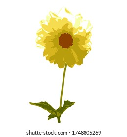 Yellow dahlia on a stalk with leaves. Cute, sunny flower. Summertime. Vector stock illustration of flower isolated on white background.