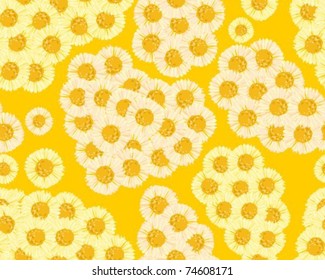 Yellow daisies on a yellow background a seamless background