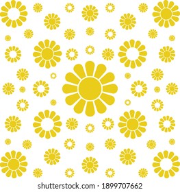 Yellow daisies on white background